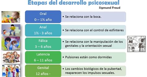 Esquema explicativo sobre el desarrollo psicosexual infantil y la normalidad de la autoexploración en diferentes etapas del crecimiento.