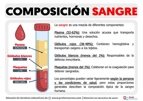 Infografía que explica la composición de la sangre menstrual: plasma, glóbulos rojos, glóbulos blancos, plaquetas y restos de endometrio.