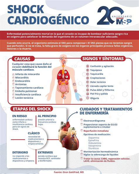 infografía sobre la cascada fisiopatológica del shock cardiogénico y sus manifestaciones clínicas