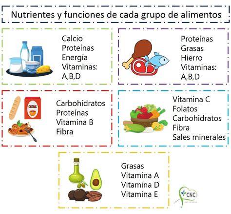 Esquema de los principales grupos alimenticios y nutrientes esenciales para la madre durante la etapa de lactancia