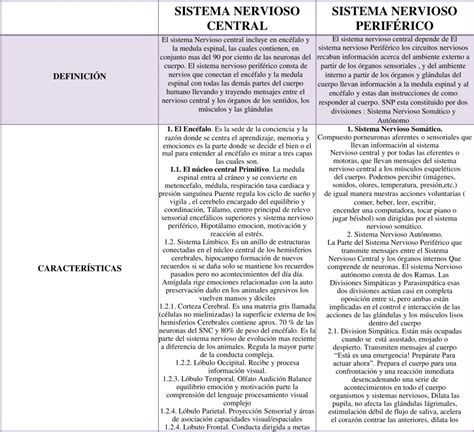 Infografía comparativa: diferencias entre afectaciones del sistema nervioso central y periférico