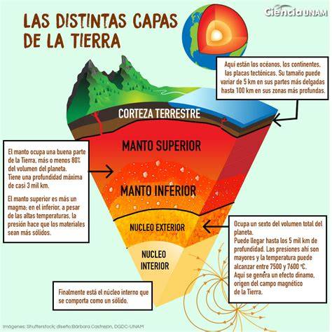 Esquema de las capas de un pañal con enfoque en la absorción
