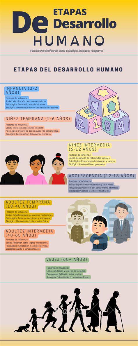 infografía de las etapas del desarrollo humano desde la concepción hasta el nacimiento