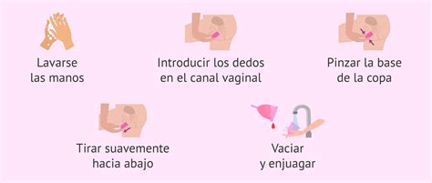 Esquema anatómico mostrando la colocación correcta de la copa menstrual en el canal vaginal y su relación con el cérvix.