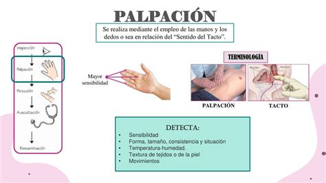 Infografía comparativa: Procedimientos de diagnóstico médico vs. técnicas de palpación y masaje de las parteras tradicionales.
