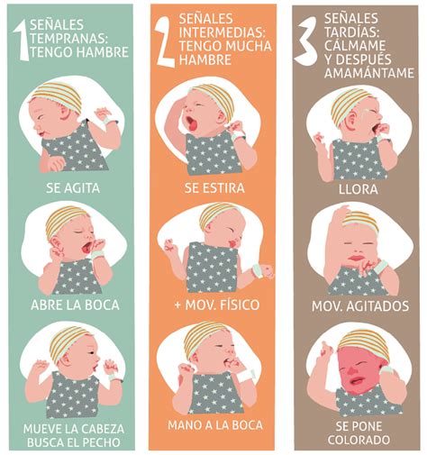 Infografía sobre las señales de hambre y saciedad en bebés, con ilustraciones de gestos y comportamientos.