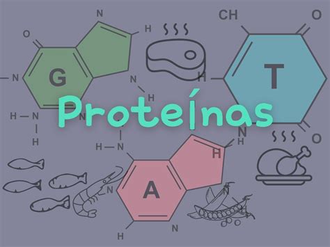 Diagrama que ilustra la acción del Beta-palmitato y las proteínas hidrolizadas en el sistema digestivo del bebé.