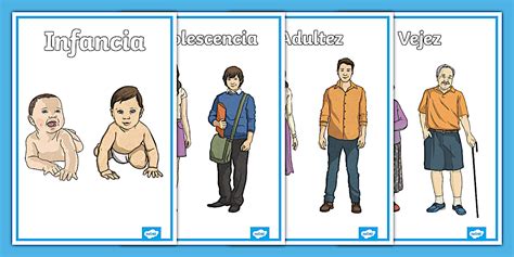 Ilustración de un diagrama del cuerpo humano con las etapas de la pubertad resaltadas.