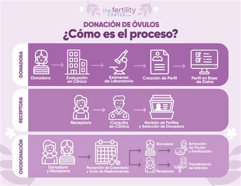 Infografía: Esquema paso a paso del proceso de donación de óvulos, desde la primera visita hasta la punción folicular.