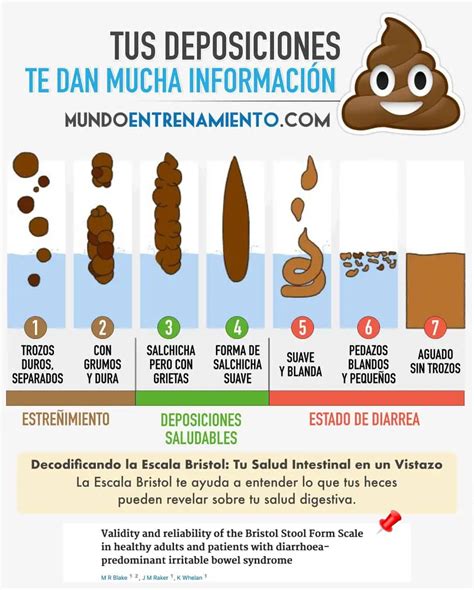 infografía mostrando la escala de colores y texturas de las heces del bebé desde el meconio hasta la alimentación complementaria