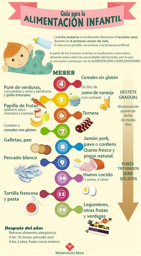 infografía sobre las etapas de alimentación infantil: leche exclusiva hasta los 6 meses y transición posterior a sólidos con cuchara