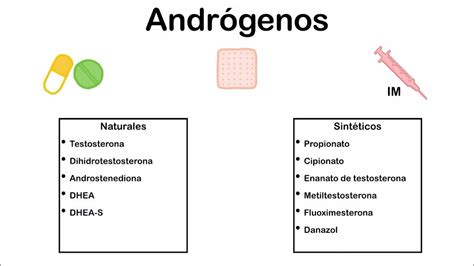 Tabla resumen del manejo de fármacos antiandrógenos en hombres durante la búsqueda y el embarazo.