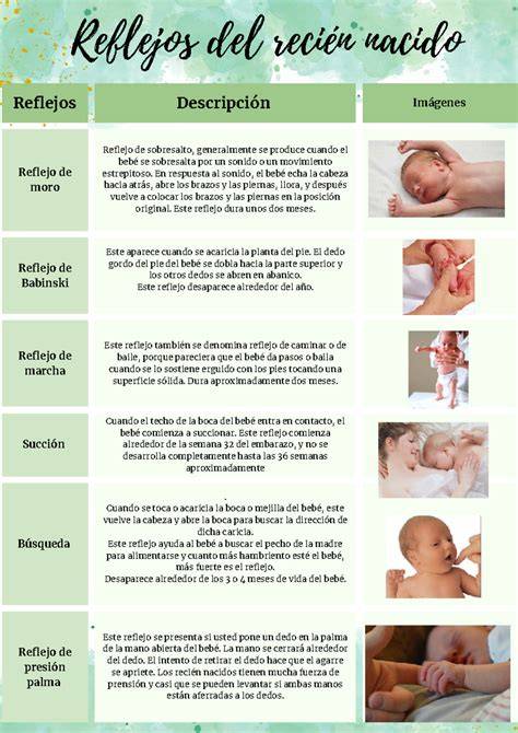 Esquema explicativo sobre el reflejo de succión en los recién nacidos y su función calmante