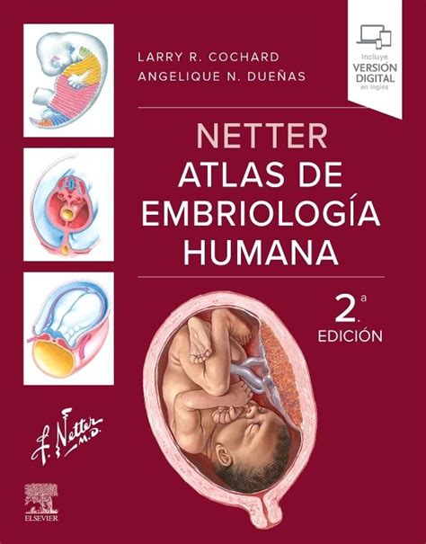 Infografía: Tipos de imágenes en un atlas de embriología (Netter, radiodiagnóstico, esquemas)