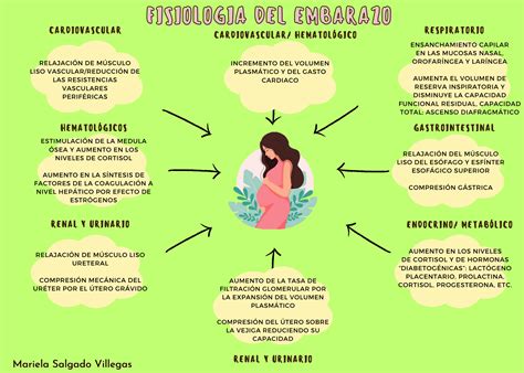 Esquema explicativo sobre el ciclo emocional y los cambios hormonales tras el parto