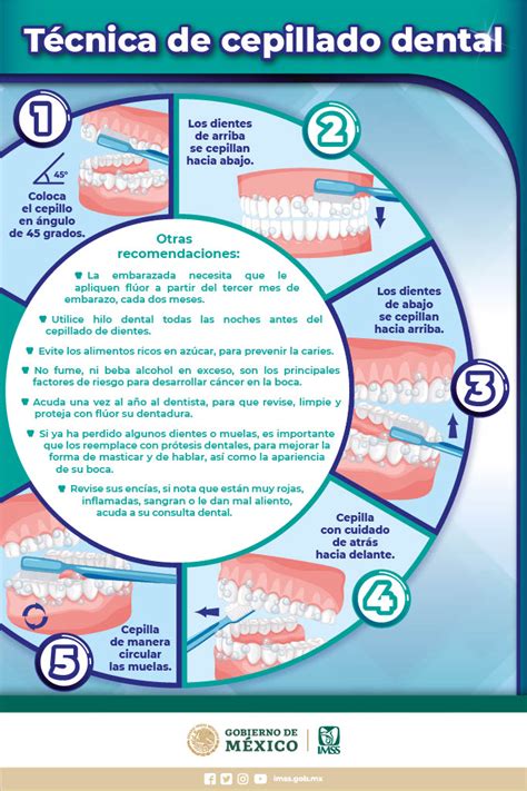 Infografía mostrando la técnica de cepillado para los primeros dientes de un bebé
