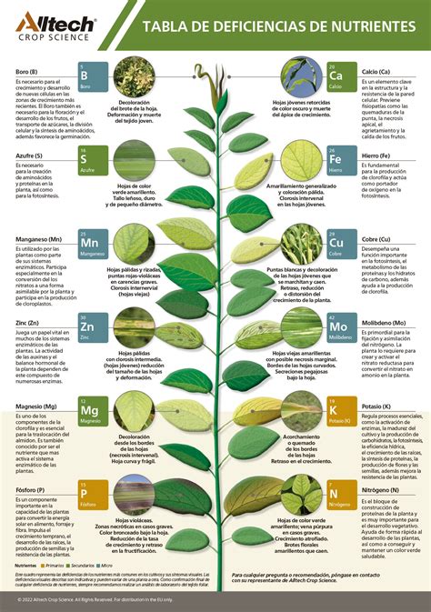 Infografía: Causas y efectos de las deficiencias nutricionales en plantas