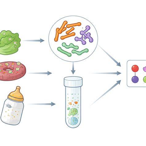Infografía: Riesgos de Cronobacter y Salmonella en la fórmula infantil