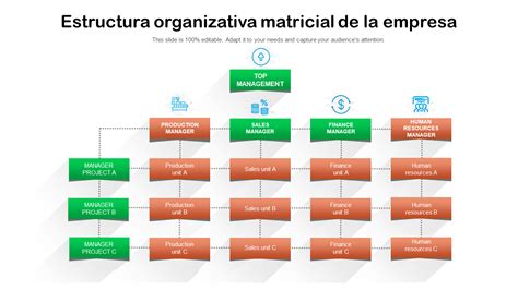 Esquema de la estructura organizativa de una empresa de fertilizantes