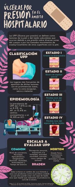 Infografía comparativa de la prevalencia de úlceras en el hombro en cerdas a lo largo de las primeras cuatro semanas de lactancia.