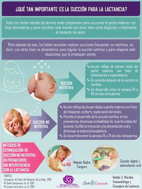 infografía sobre el instinto de succión y sus beneficios en el desarrollo infantil