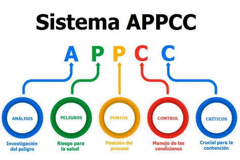 Infografía: Proceso de desarrollo de un protocolo APPCC en un hospital