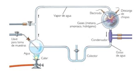 Ilustración del experimento de Miller y Urey