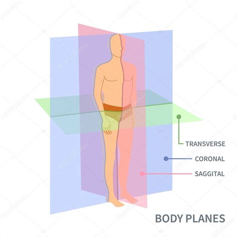 Diagrama mostrando la correcta posición de los biberones boca abajo en un esterilizador