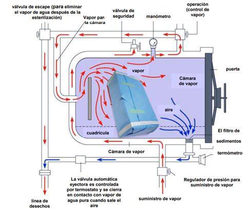Esquema del funcionamiento del esterilizador por vapor: agua en la base, generación de calor y circulación de vapor en el interior.