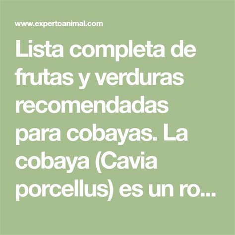 Frutas recomendadas para cobayas como premio