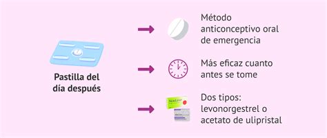 Diagrama explicativo del mecanismo de acción de la píldora del día después