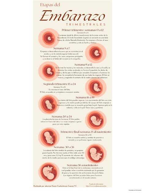 Infografía sobre las etapas del embarazo y la atención obstétrica