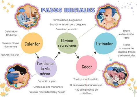 Esquema ilustrativo de los pasos en un secuestro fetal