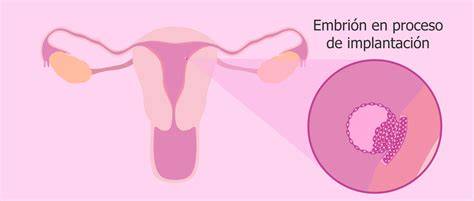 Ilustración de un embrión intentando implantarse en el endometrio sin éxito