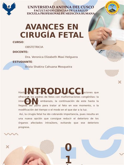 Esquema explicativo sobre los avances en cirugía fetal y el tratamiento de malformaciones durante la gestación
