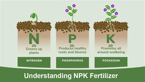 Esquema de las principales etapas de una línea de producción de fertilizantes granulados NPK