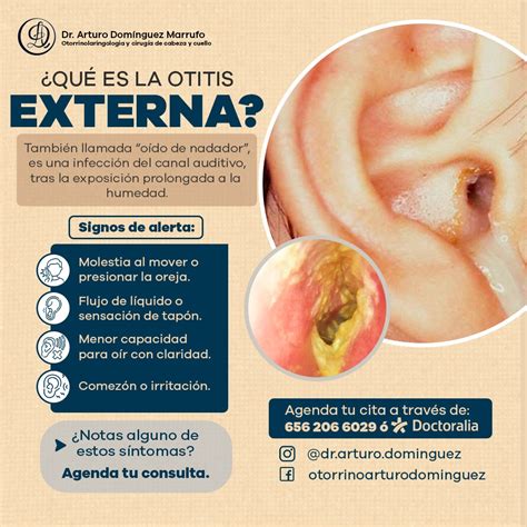 Imagen de otitis en la oreja de un conejo