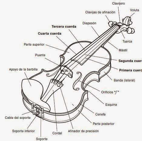 Esquema detallado de las partes de un violín
