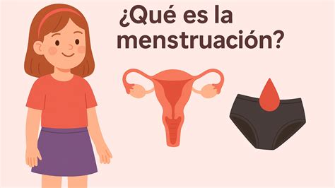 Esquema visual del proceso para solicitar la baja por menstruación incapacitante y su financiación.