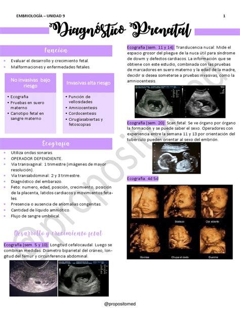 Infografía comparativa de las distintas técnicas de diagnóstico prenatal invasivas y no invasivas