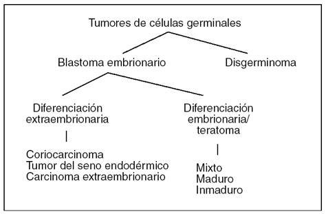 Diferencias microscópicas entre disgerminoma y carcinoma embrionario
