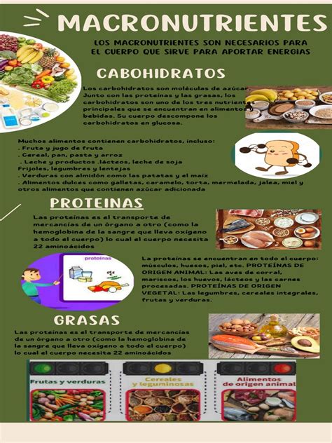 Infografía sobre análisis de suelo y macronutrientes para praderas