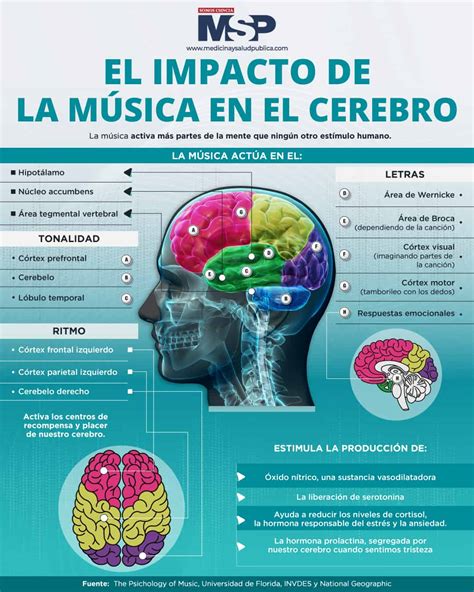 Infografía sobre el efecto de la música en el cerebro de un bebé