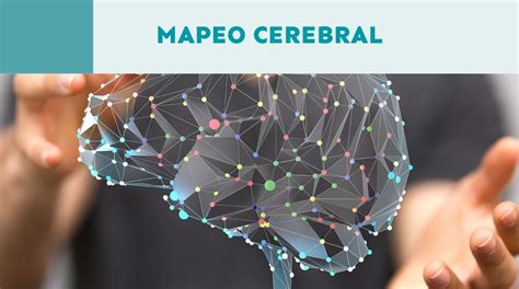 Infografía: mapeo cerebral y activación por movimiento fetal