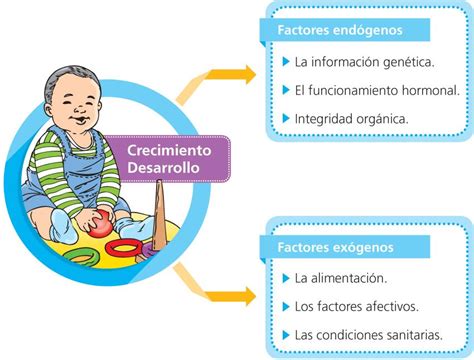 Esquema: Factores que influyen en el crecimiento del bebé