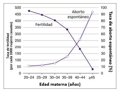 Infografía: Porcentaje de blastocistos sanos según la edad materna