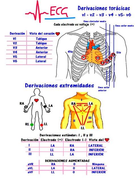 Diagrama de las derivaciones del ECG en el plano frontal y horizontal