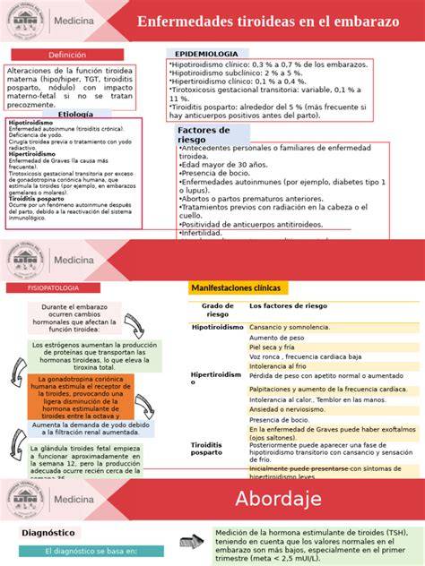 Infografía sobre la prevalencia de enfermedades tiroideas en el embarazo