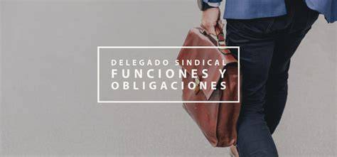 Esquema de las funciones y protecciones de un delegado sindical.