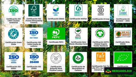 Esquema de las fases de certificación en agricultura ecológica